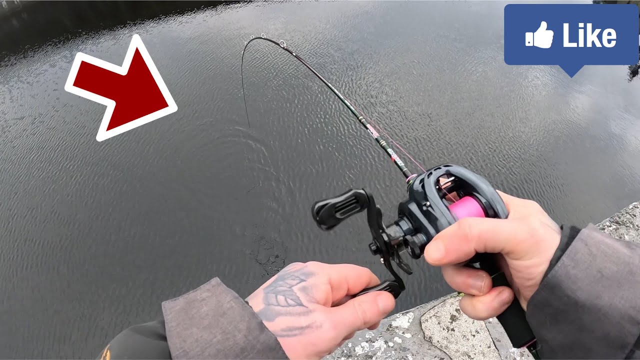 BFS Fishing for River Perch! (First time finesse baitcasting with Aliexpress setup)