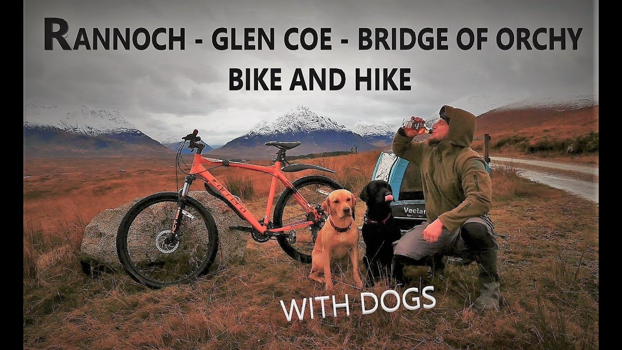 Rannoch - Glen Coe - Bridge of Orchy bike and hike with dogs