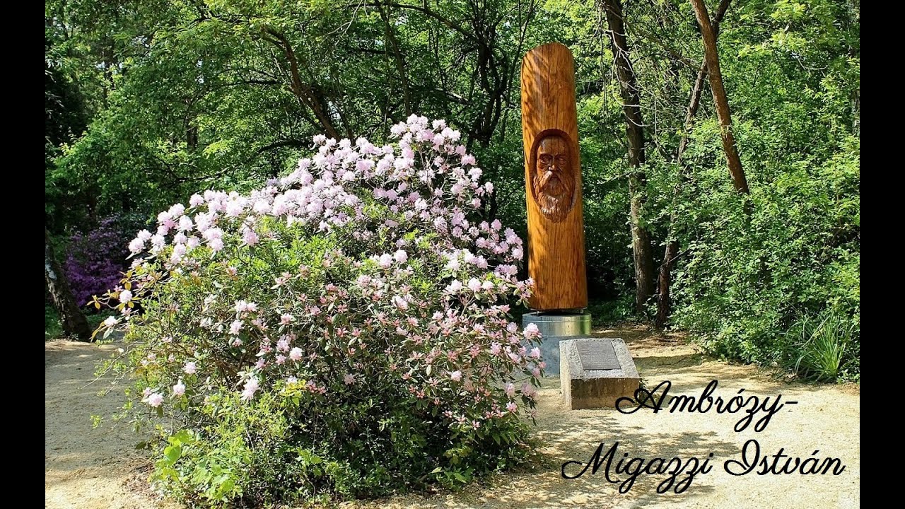 Jeli Arbor&eacute;tum. / Magyarorsz&aacute;g /  Tecike L&eacute;n&aacute;rdn&eacute; k&eacute;sz&iacute;tette.