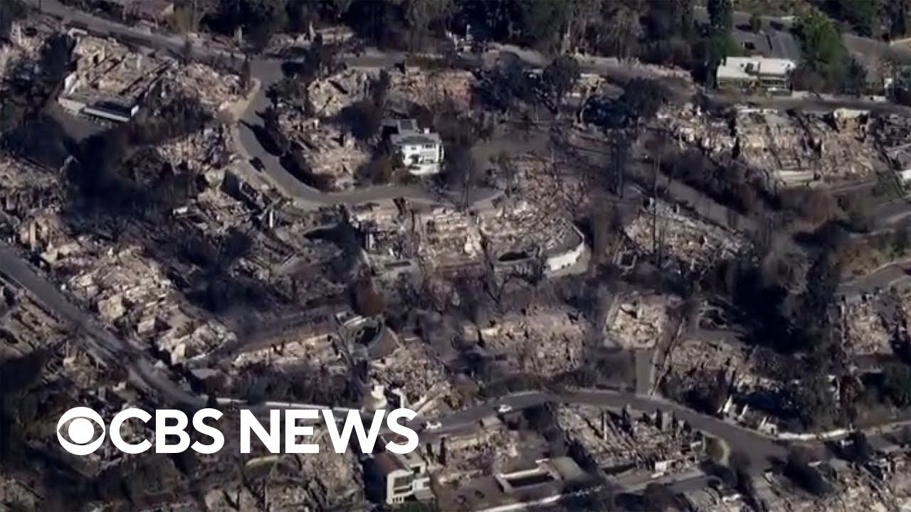 Exploring the connection between wildfires and climate change | ClimateWatch
