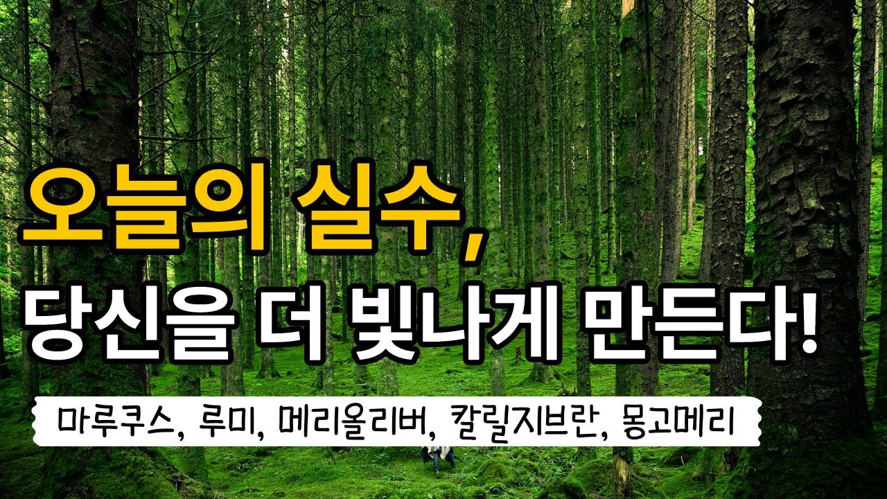 오늘의 실수, 당신을 더 빛나게 만든다!
