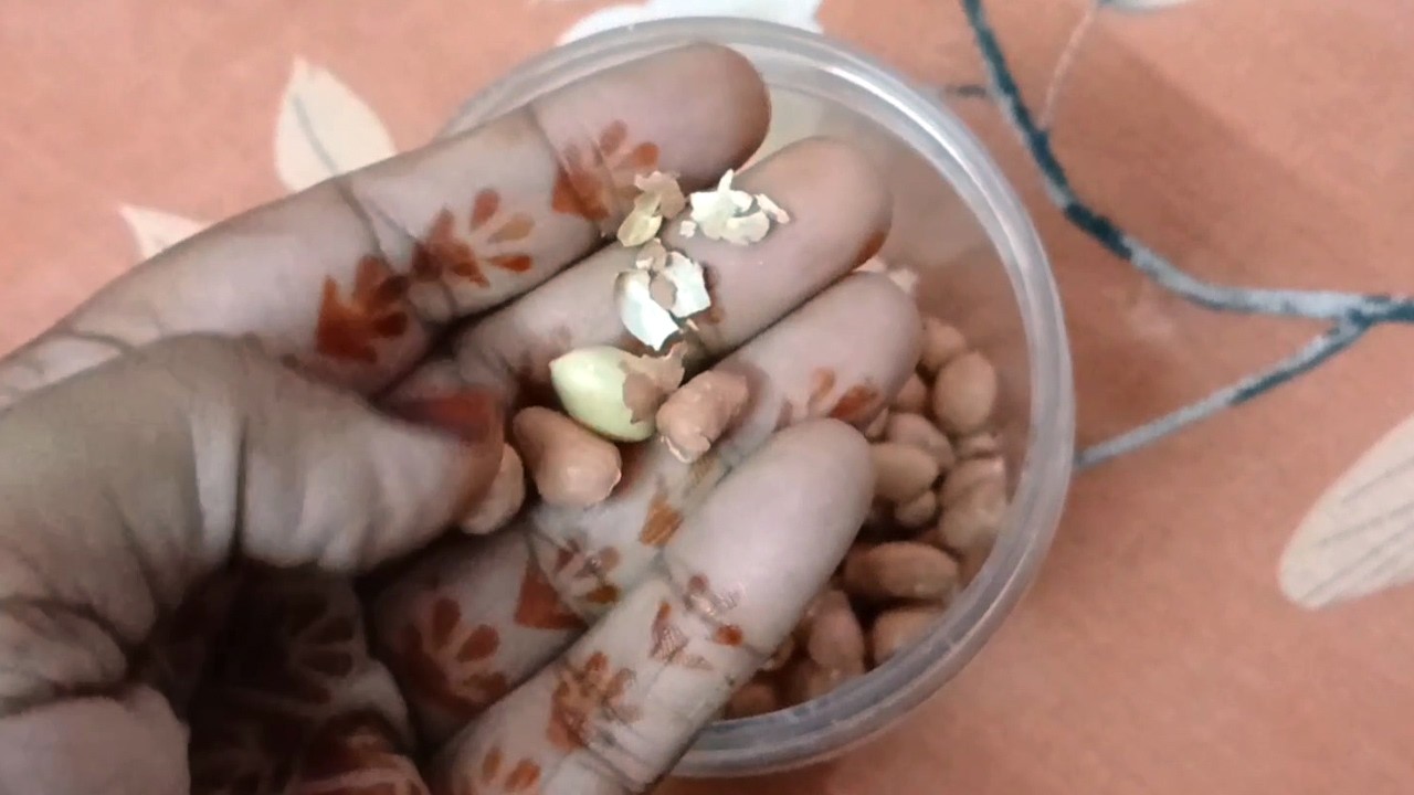 കപ്പലണ്ടിയുടെ തൊലി എളുപ്പത്തിൽ കളയാം