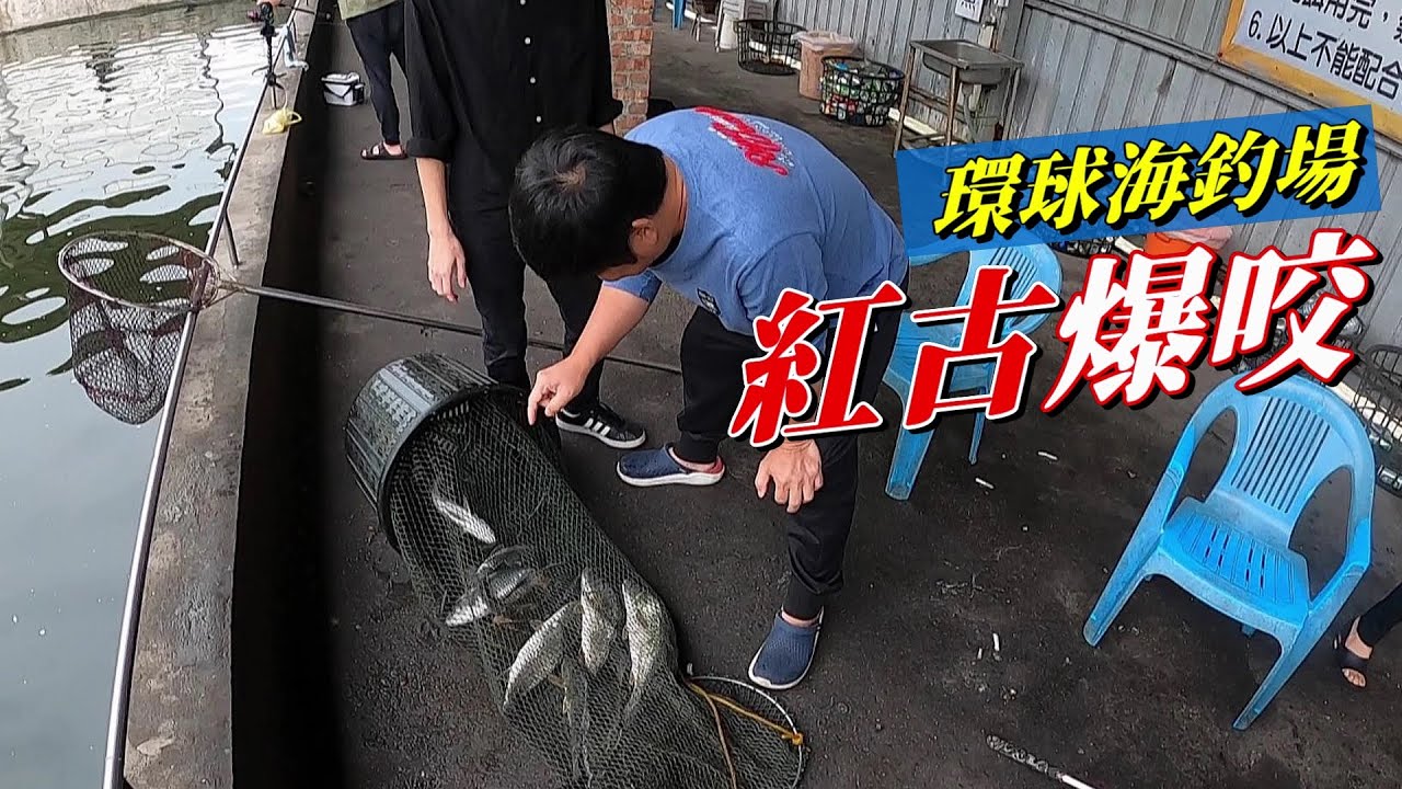 【老蟹愛釣魚】環球海釣場紅古大爆咬，不要再釣到紅古了啦...
