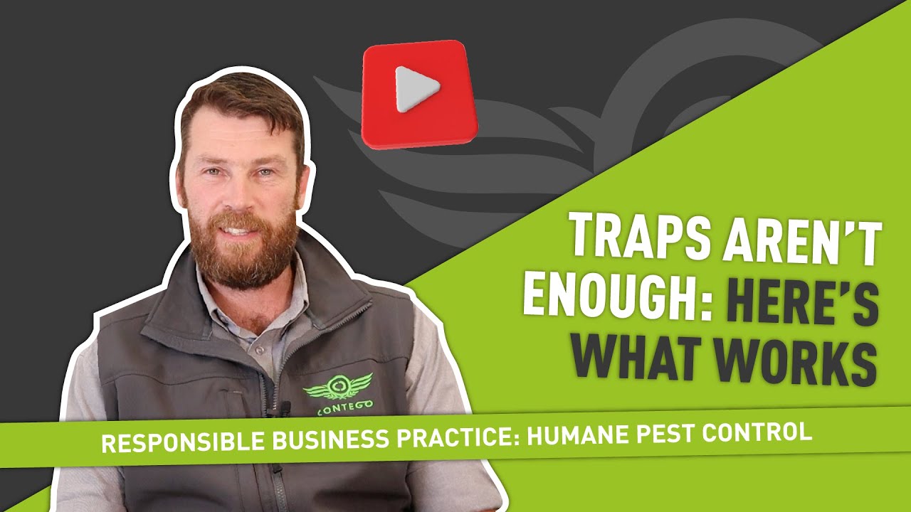 Our Approach To Humane Pest Control