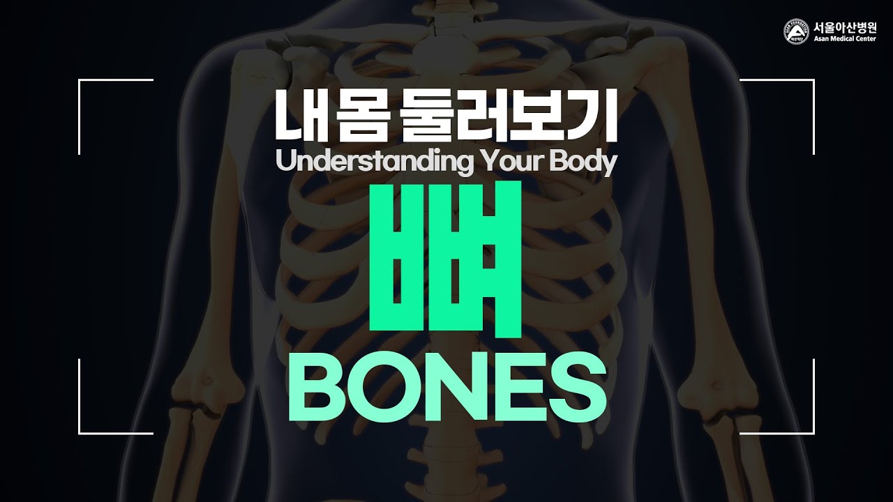 뼈 [내 몸 둘러보기]