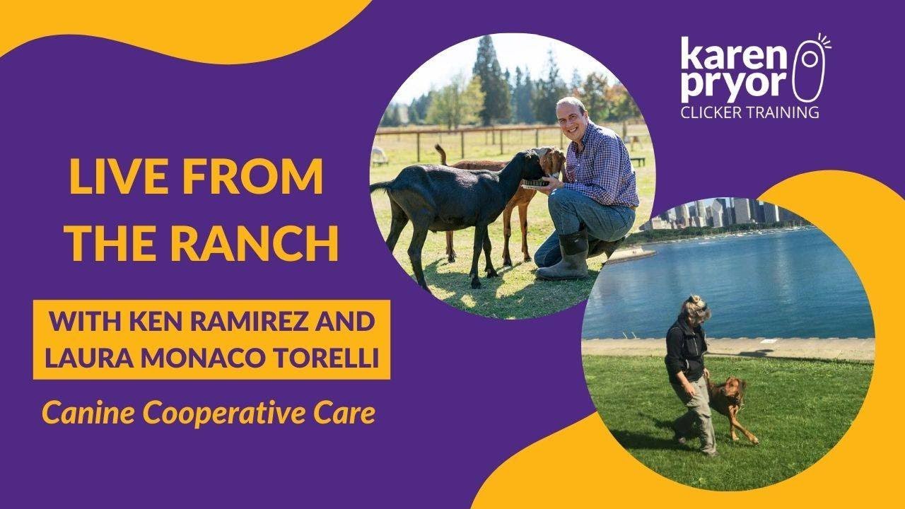Canine Cooperative Care with Laura Monaco Torelli & Ken Ramirez • Live from The Ranch