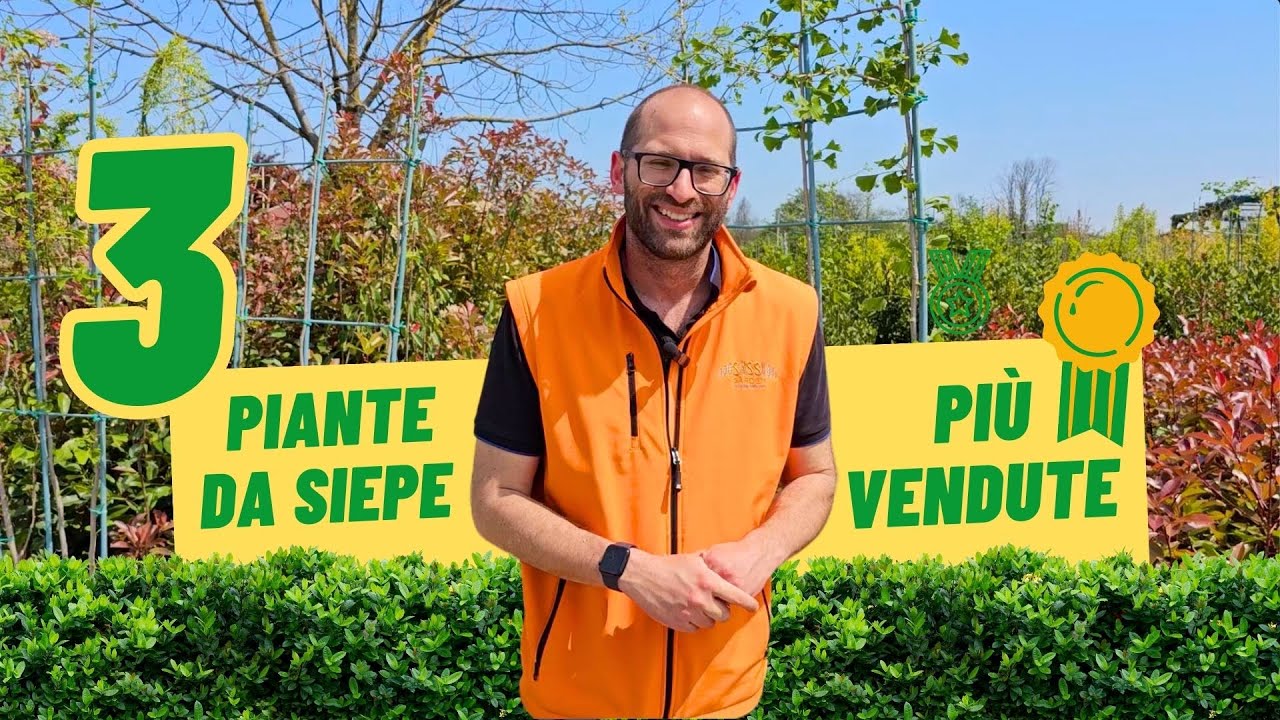 Le 3 Piante da Siepe PIÙ VENDUTE in Nord Italia