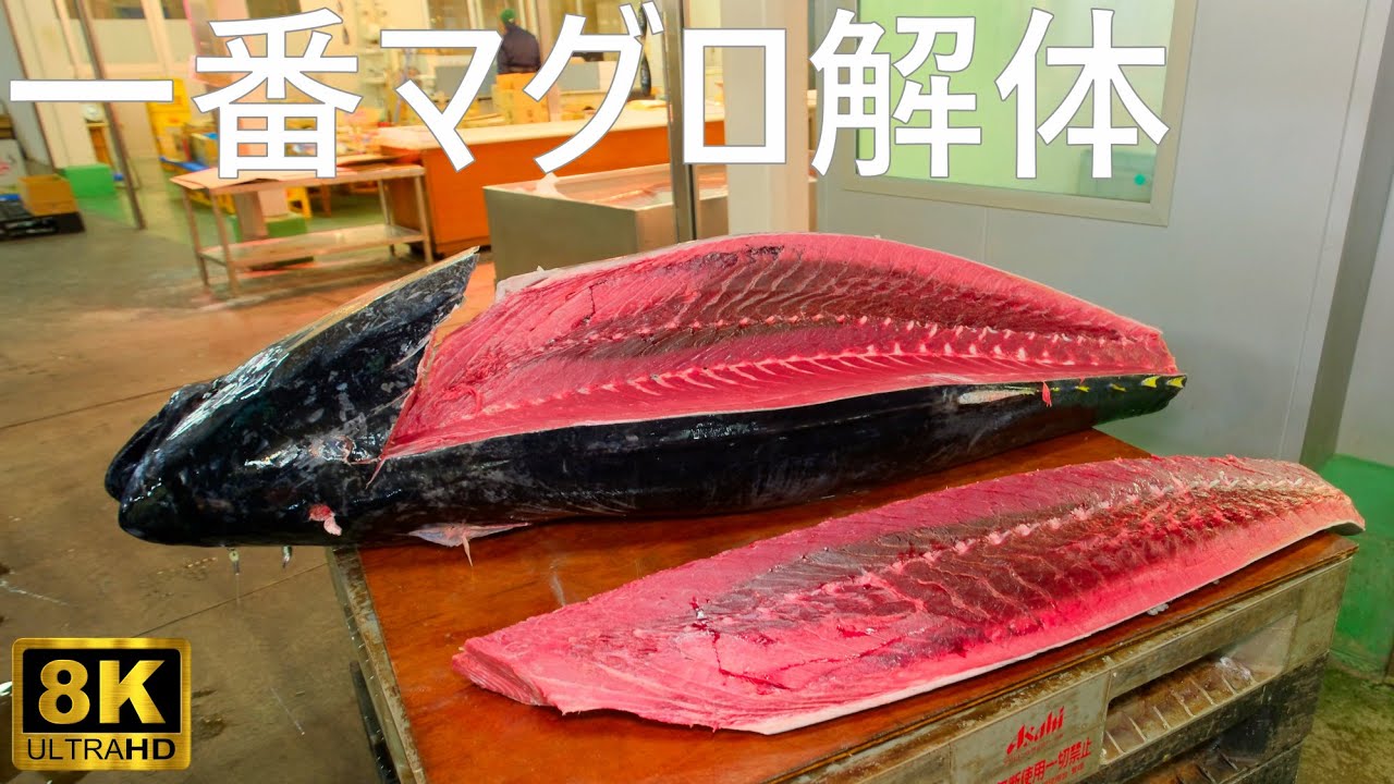 【大間マグロ】一番マグロの解体シーンを超至近距離で撮影 青森中央卸売市場【青森市】8K