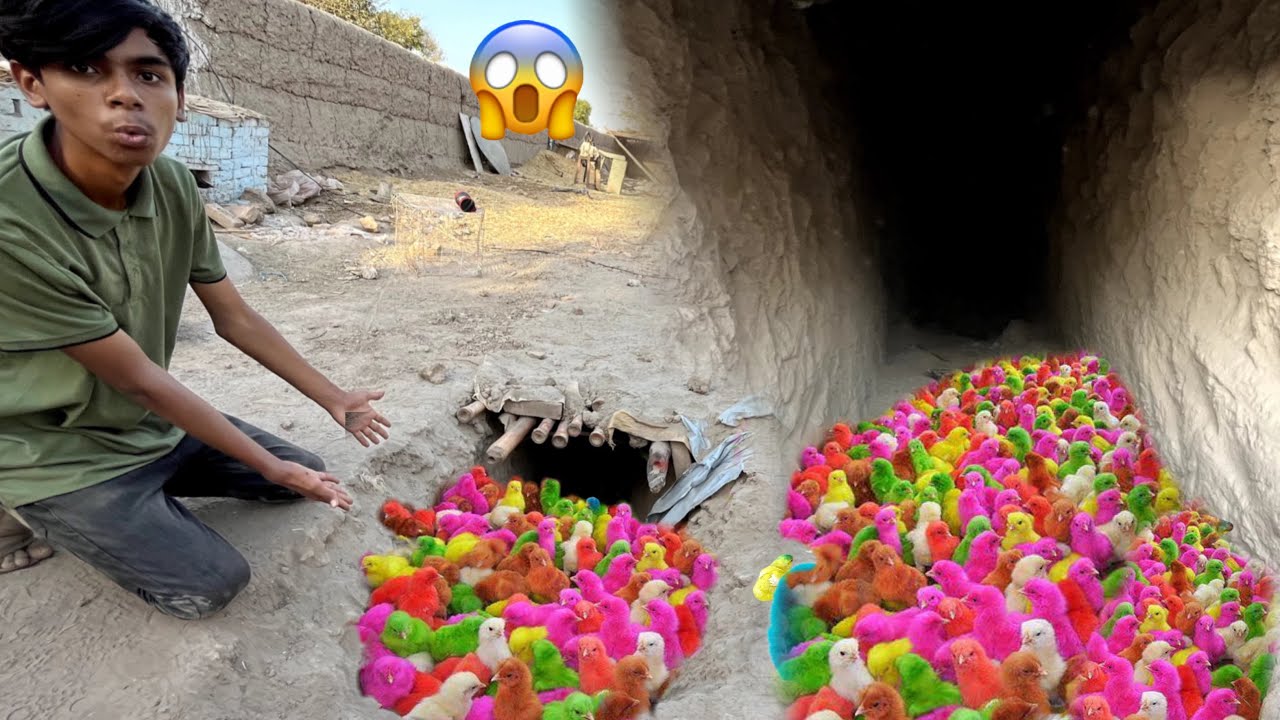 Underground May Colourful Chicks aa Gay