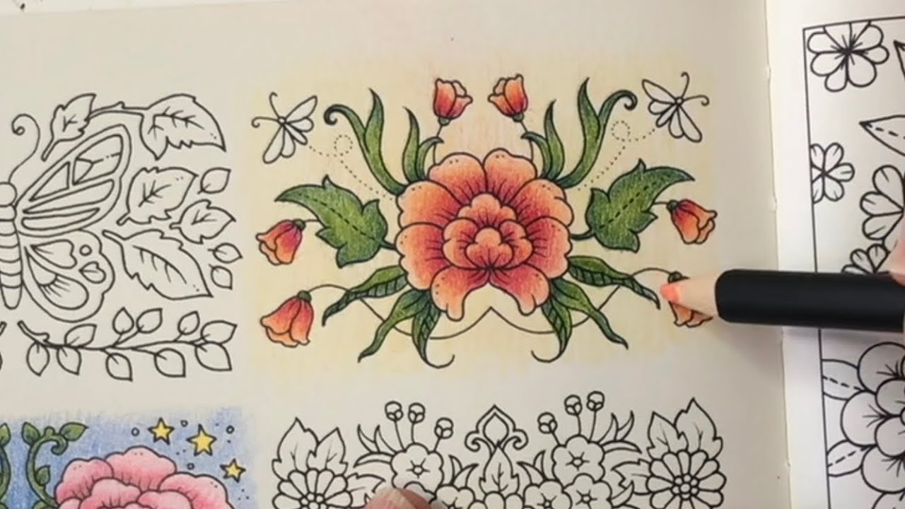 Johanna Basford  Small Victories | How to Colour a Tropical Flower