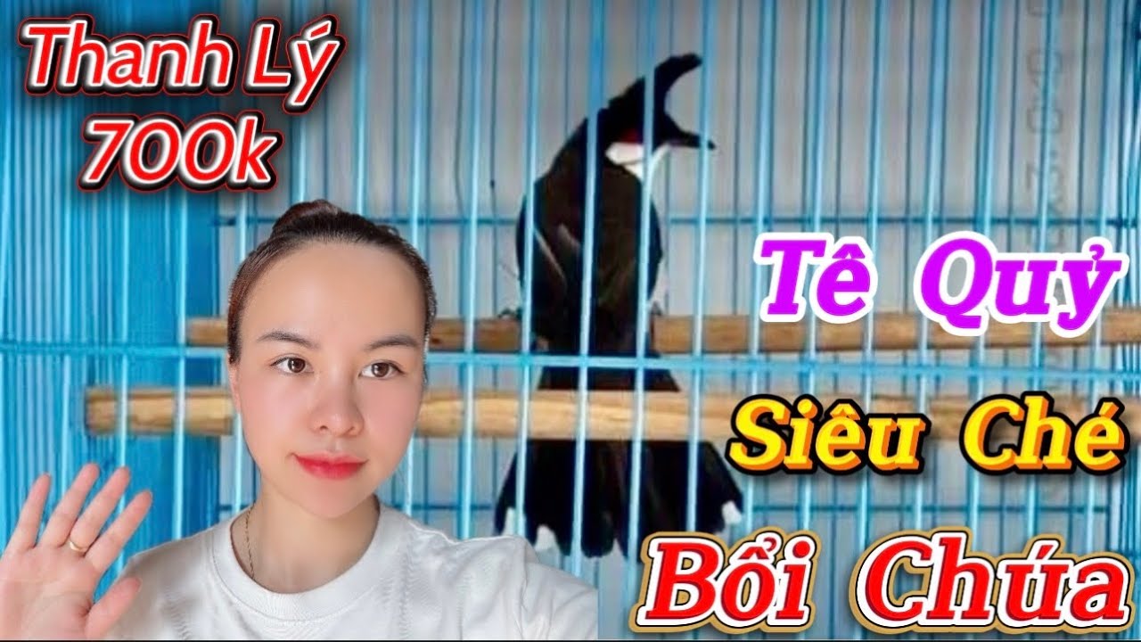 14/1-Siêu Phẩm Bổi Chúa 5Tháng Avi/Đầu Đàn Bộ To Dài Đòn-Phách Chơi Siêu Ché/Cánh Máy Chém Siêu Gấu