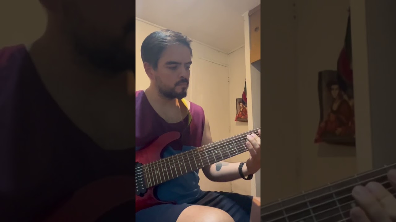 Meshuggah - the faultless