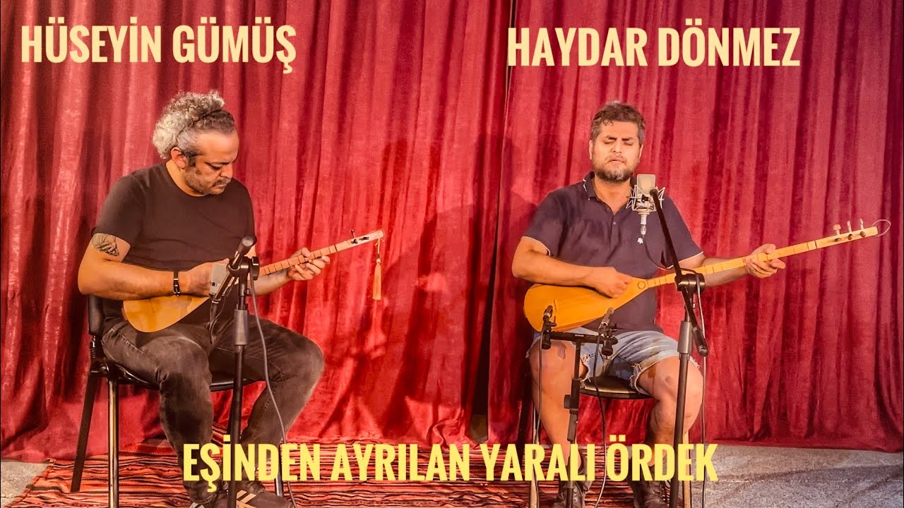 EŞİNDEN AYRILAN YARALI ÖRDEK / HAYDAR DÖNMEZ & HÜSEYİN GÜMÜŞ