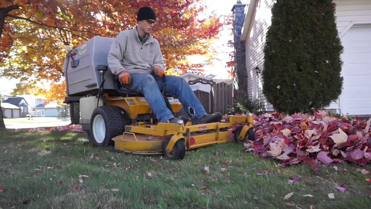 How To Do A Fall Cleanup