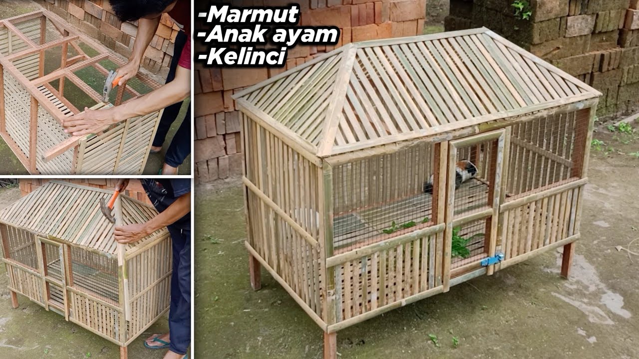 Membuat kandang ANAK AYAM / MARMUT / KELINCI