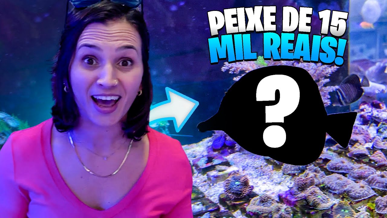 PAGAMOS 15 MIL REAIS EM UM PEIXE PARA O AQUÁRIO MARINHO ?