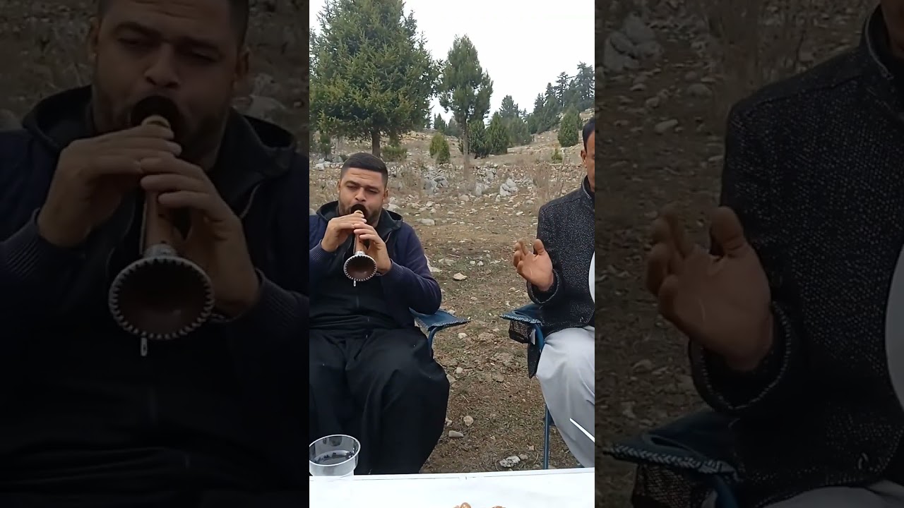 davul zurna    gel sana            ihtiyacım var