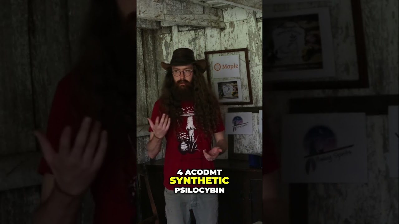 Is Your Amanita Muscaria Product Actually Fake? Unveiling the Truth