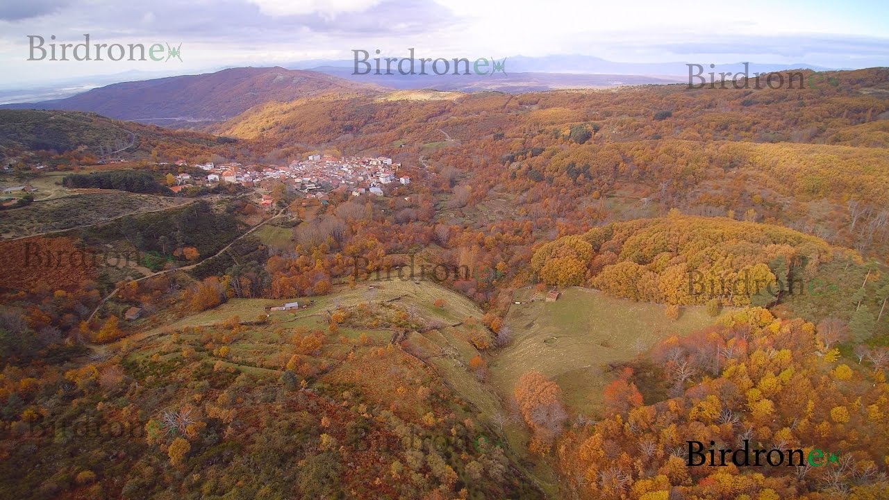 Birdronex: Otoño mágico en el Valle del Ambroz. Agrosfera TVE 2
