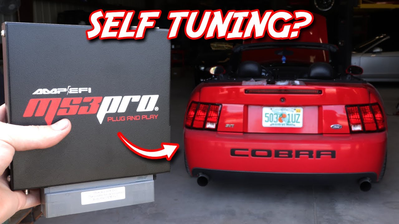 HUGE UPGRADE For My TERMINATOR Cobra! *Stand-alone ECU*