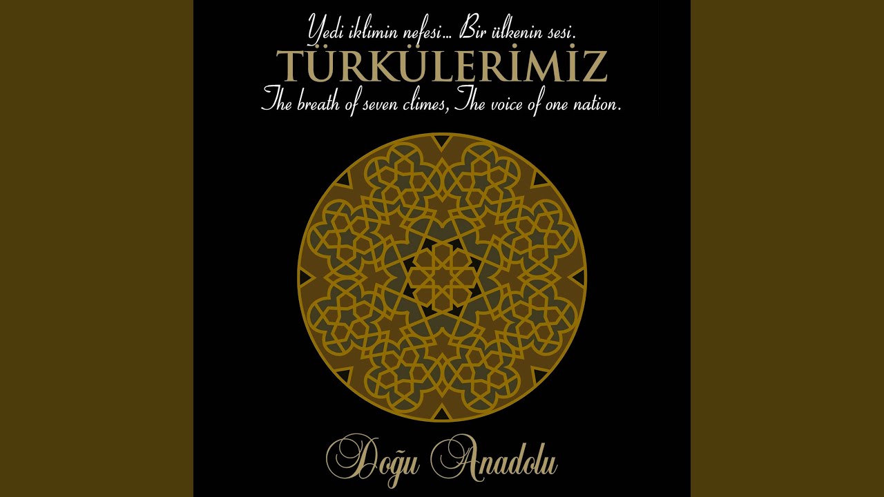 Seyyah Olup Şu Alemi Gezerim