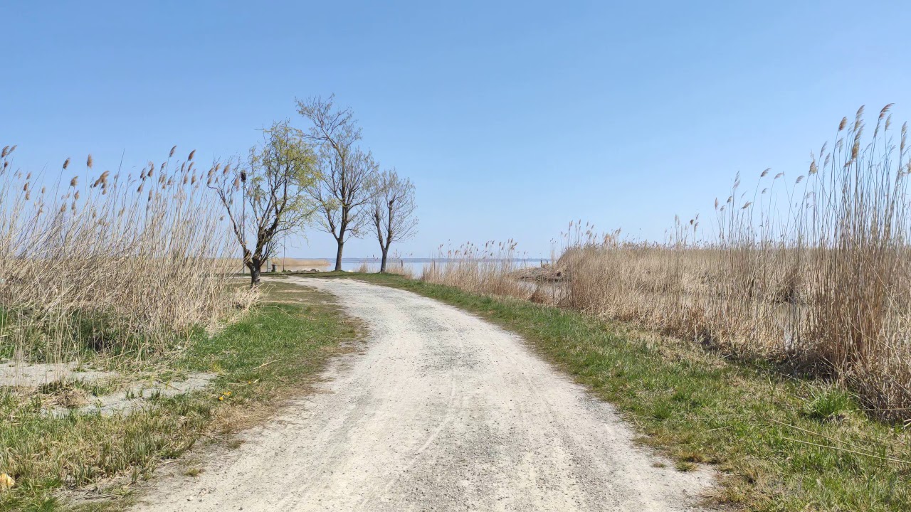 【4K】🌍 Walking Under a Blue Sky to a Calm Lake