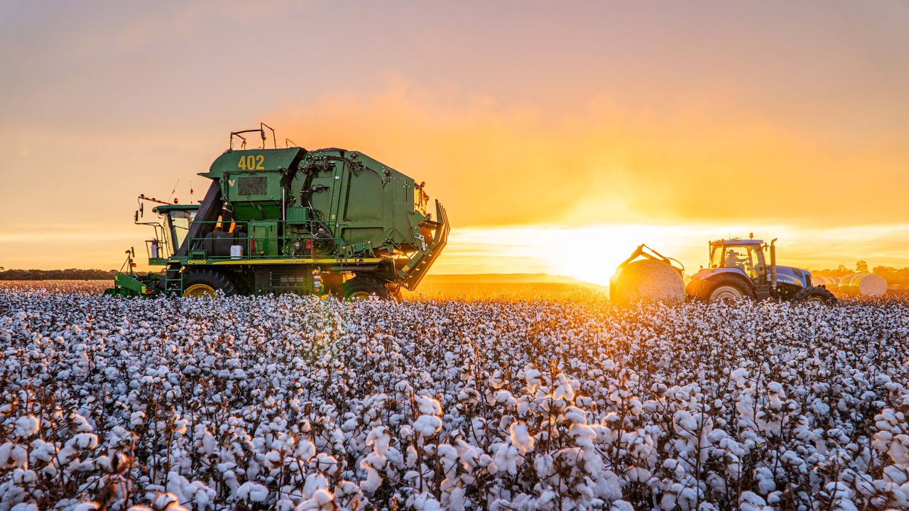 Australia Cotton Harvest 2021