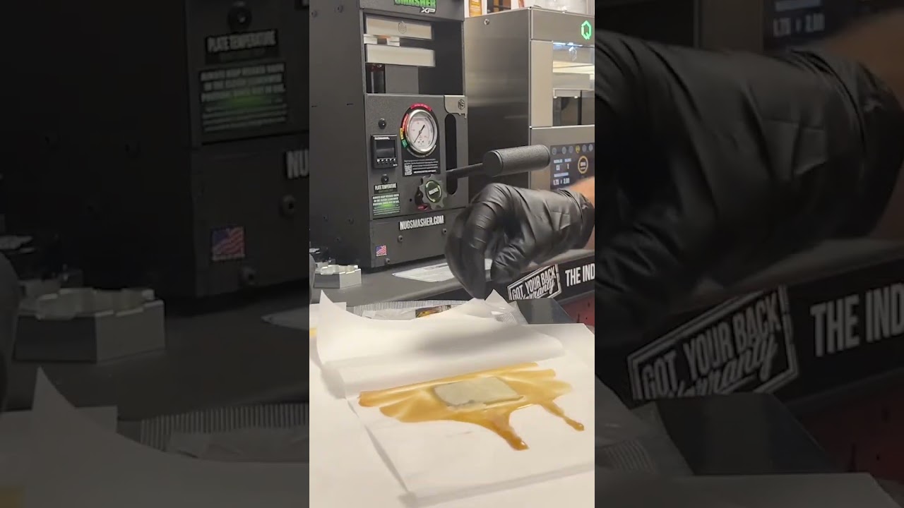Post extraction Rosin reveal😍 Rosin Made Simple&copy; Learn more at NugSmasher.com