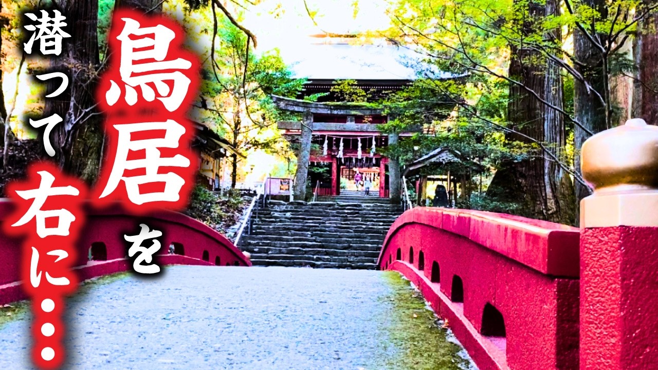 茨城県の北にある「写真映え」する神社…鳥居を潜って右に行くとそこには！？