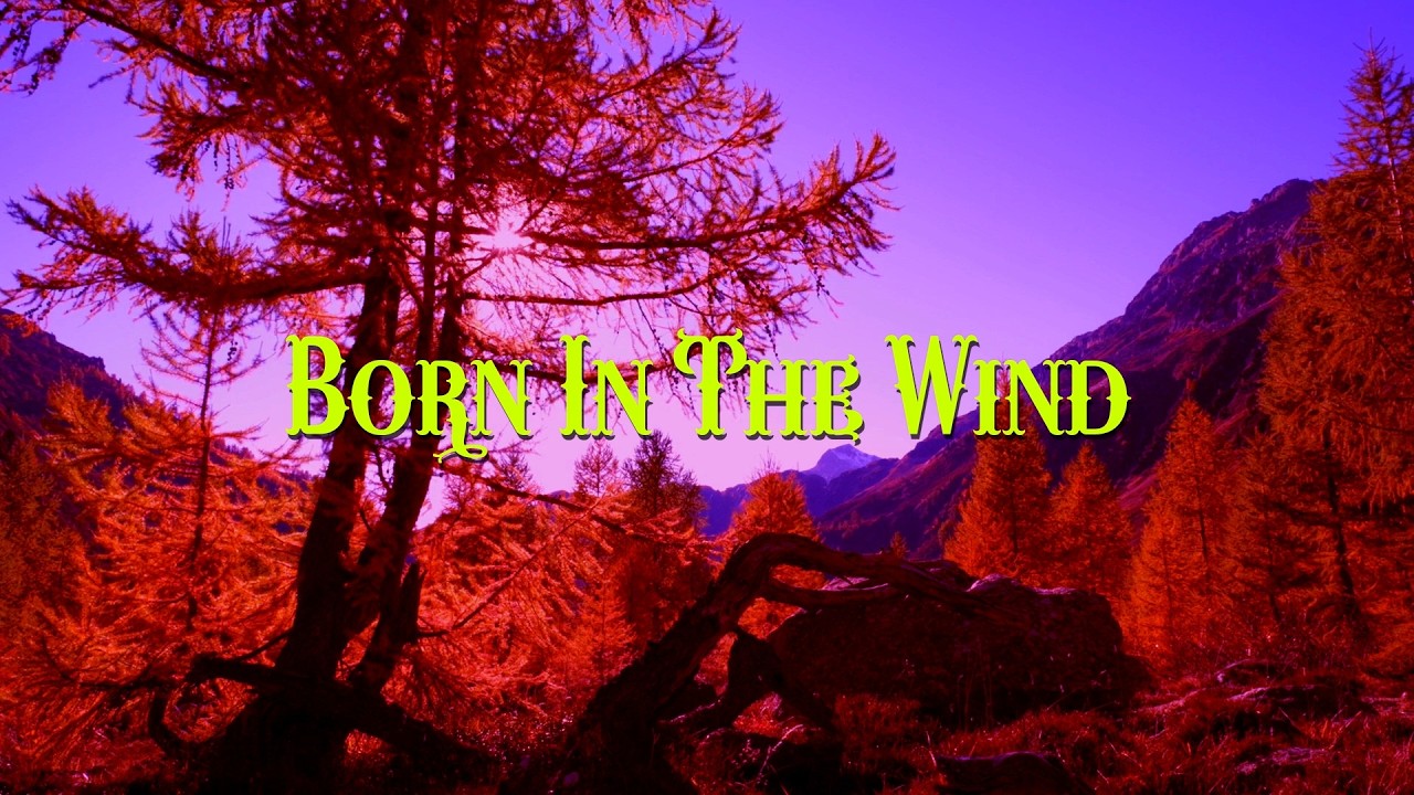 Born In The Wind