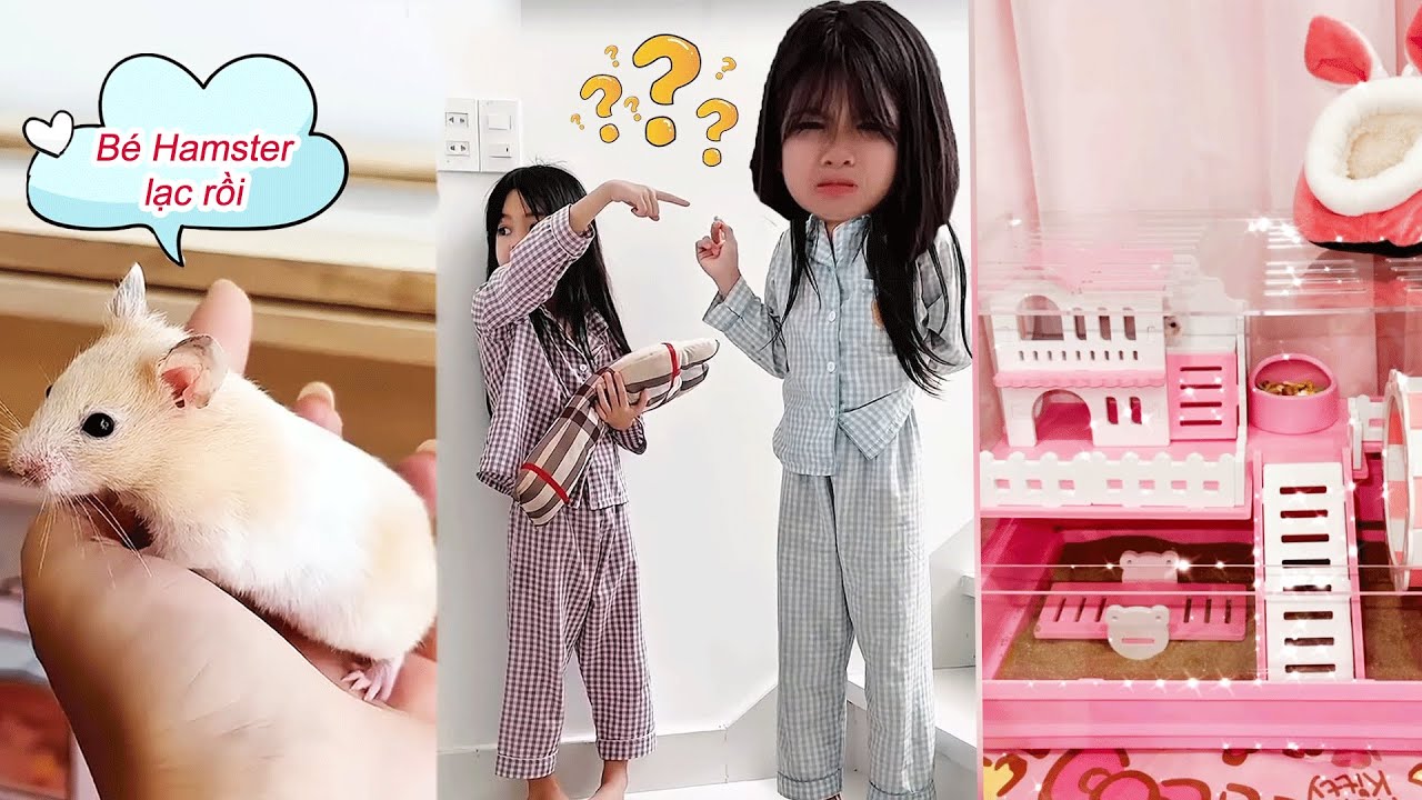 Hamster Mới Mua Bốc Hơi Trong Đêm🐹Mẹ Gọi Cả Nhà Ra “Truy Lùng”! | Phương Min Official