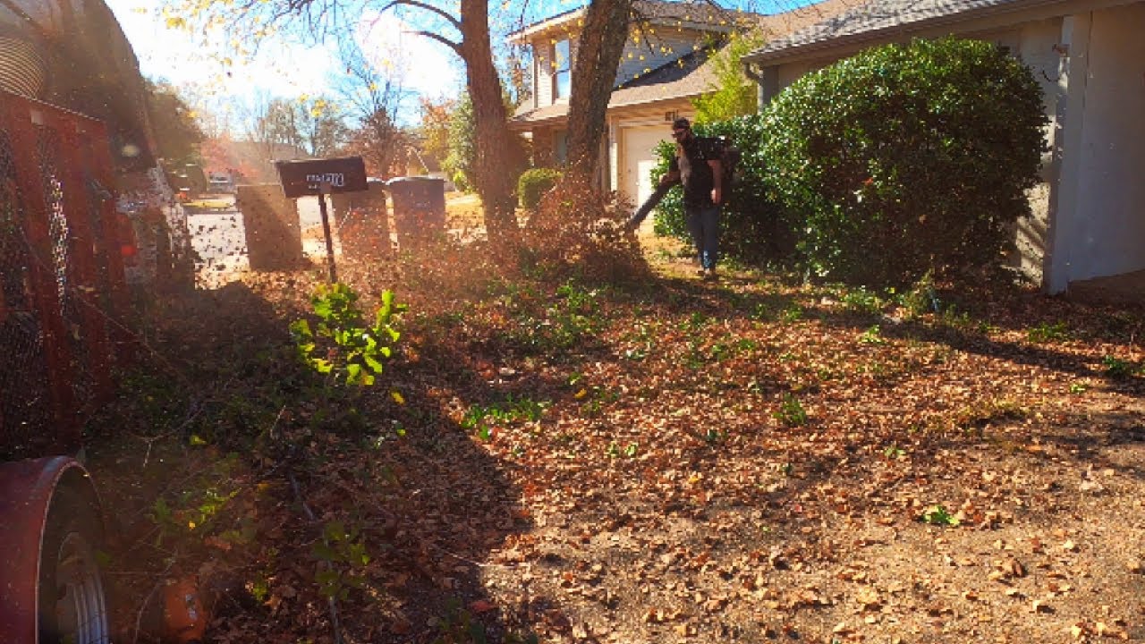 4x time lapse of tiny front yard makeover
