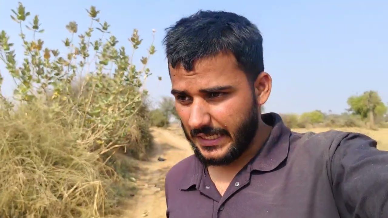 Aaj Jire Me Urea, Zinc Aur DAP Dali | Khet Me Fertilizer Ka Sahi Tarika 🌱 ! Hustle with aju vlog ✓