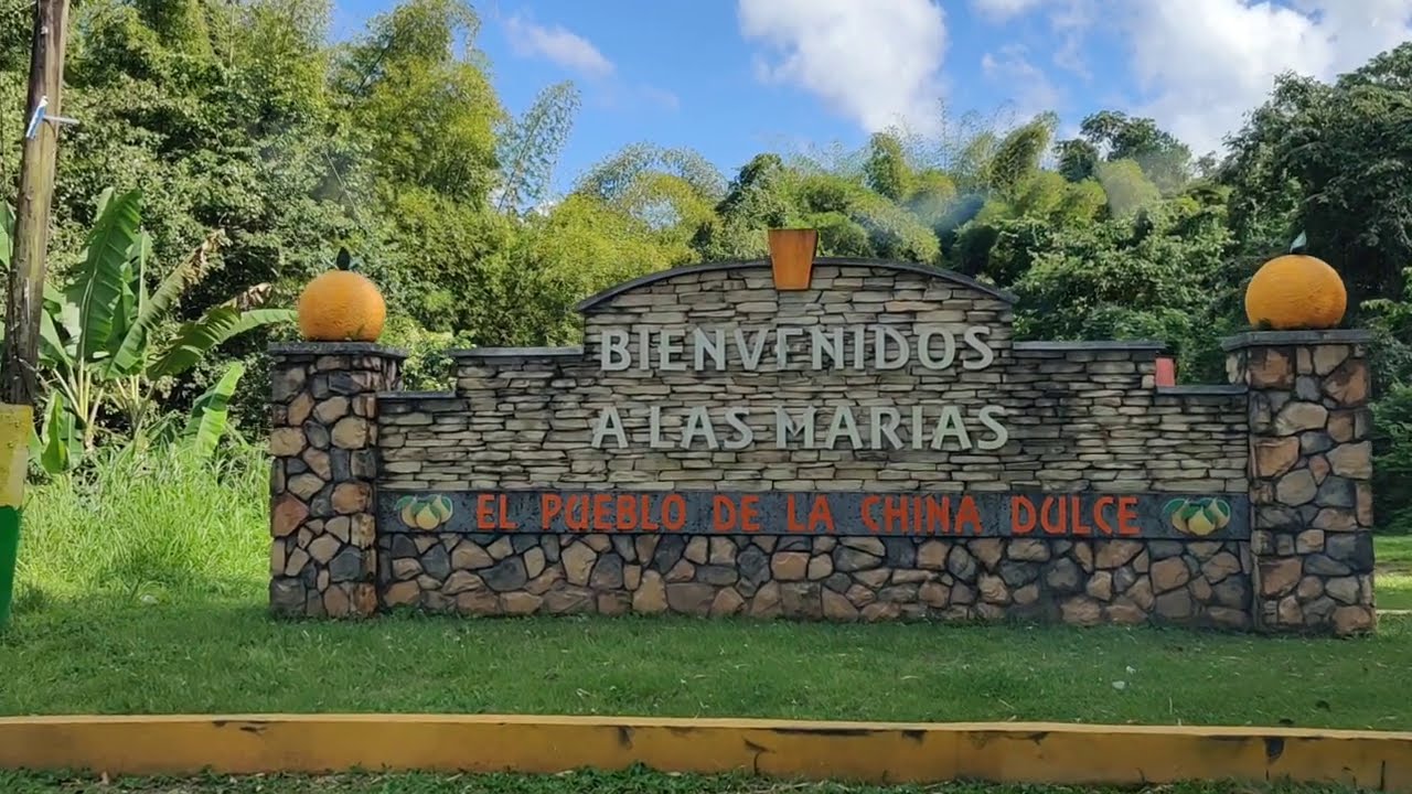 Viaje por la montaña. Maricao y Las Marias, P.R.