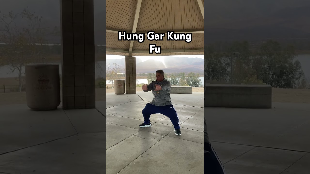 Hung Gar Kung Fu #hunggar #hungkuen #hunggarkungfu #kungfu #wushu