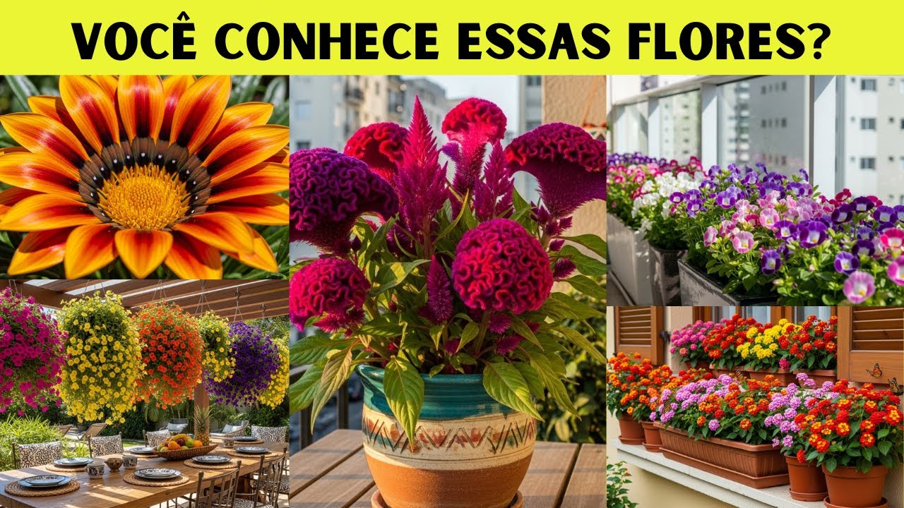 10 FLORES incríveis que vão transformar sua casa