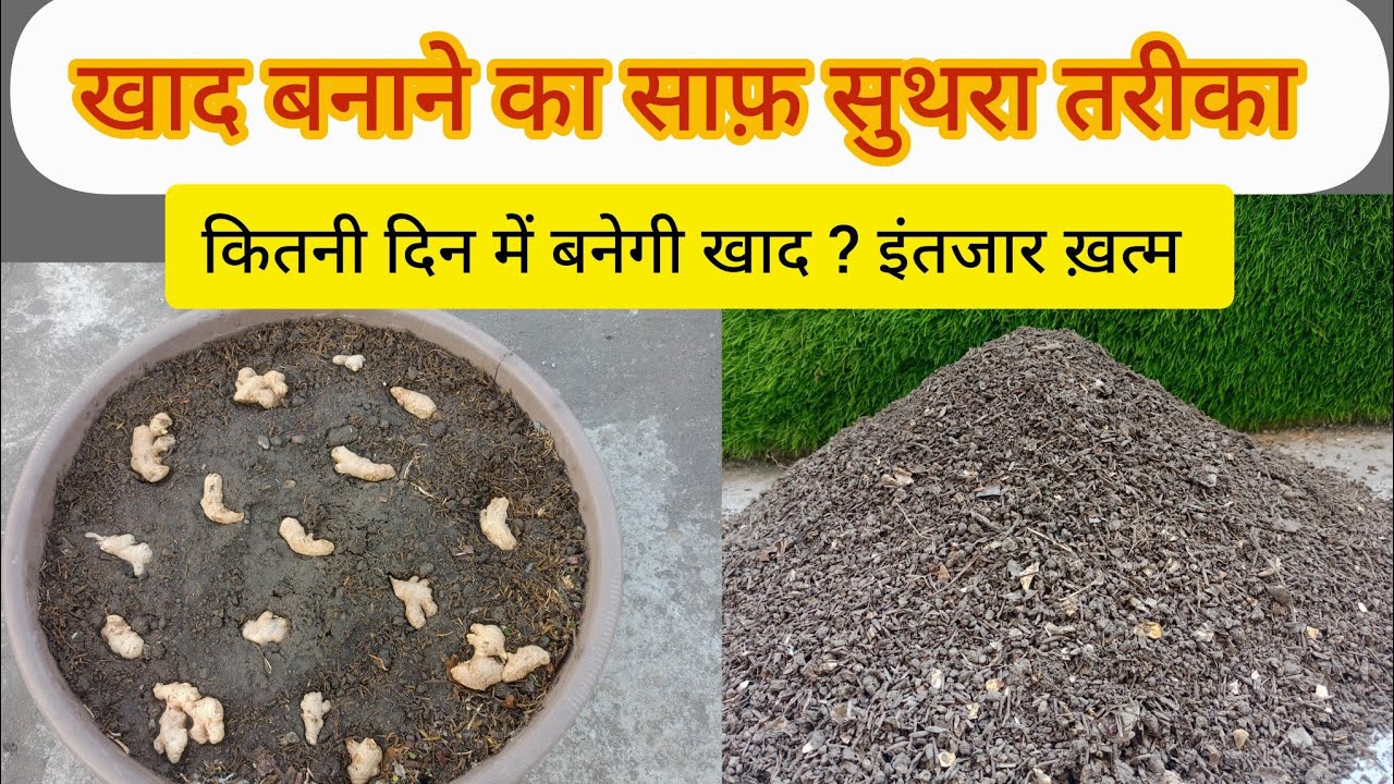 🟢 HOW TO MAKE LEAF MOLD COMPOST AT HOME EASILY / @Plant Lover