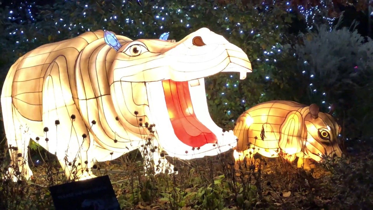 2017 Cincinnati Zoo Festival of Lights Walkthrough