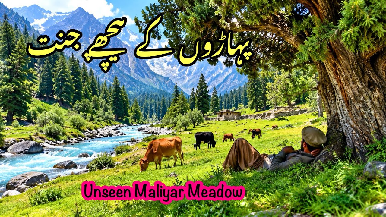 Exploring Pakistan&rsquo;s Hidden Paradise | Maliyar Meadows &mdash; Almost No Tourists Visit