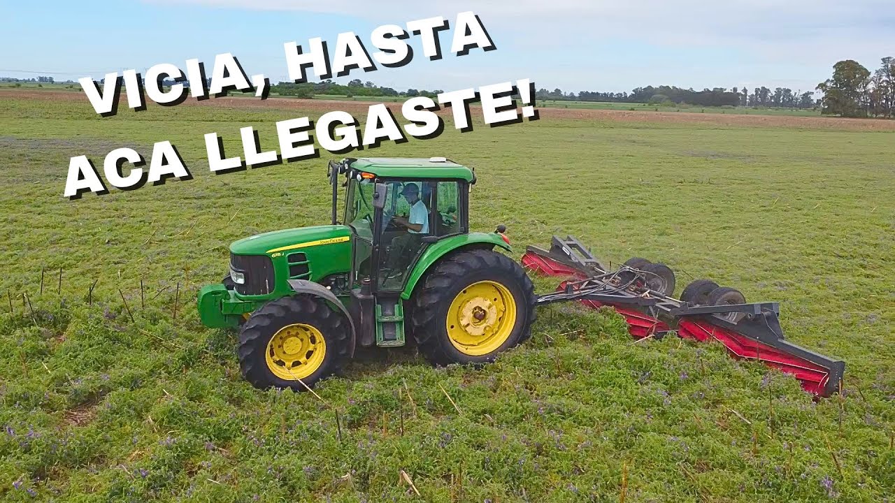 CULTIVOS DE COBERTURA, A FAVOR Y EN CONTRA!!