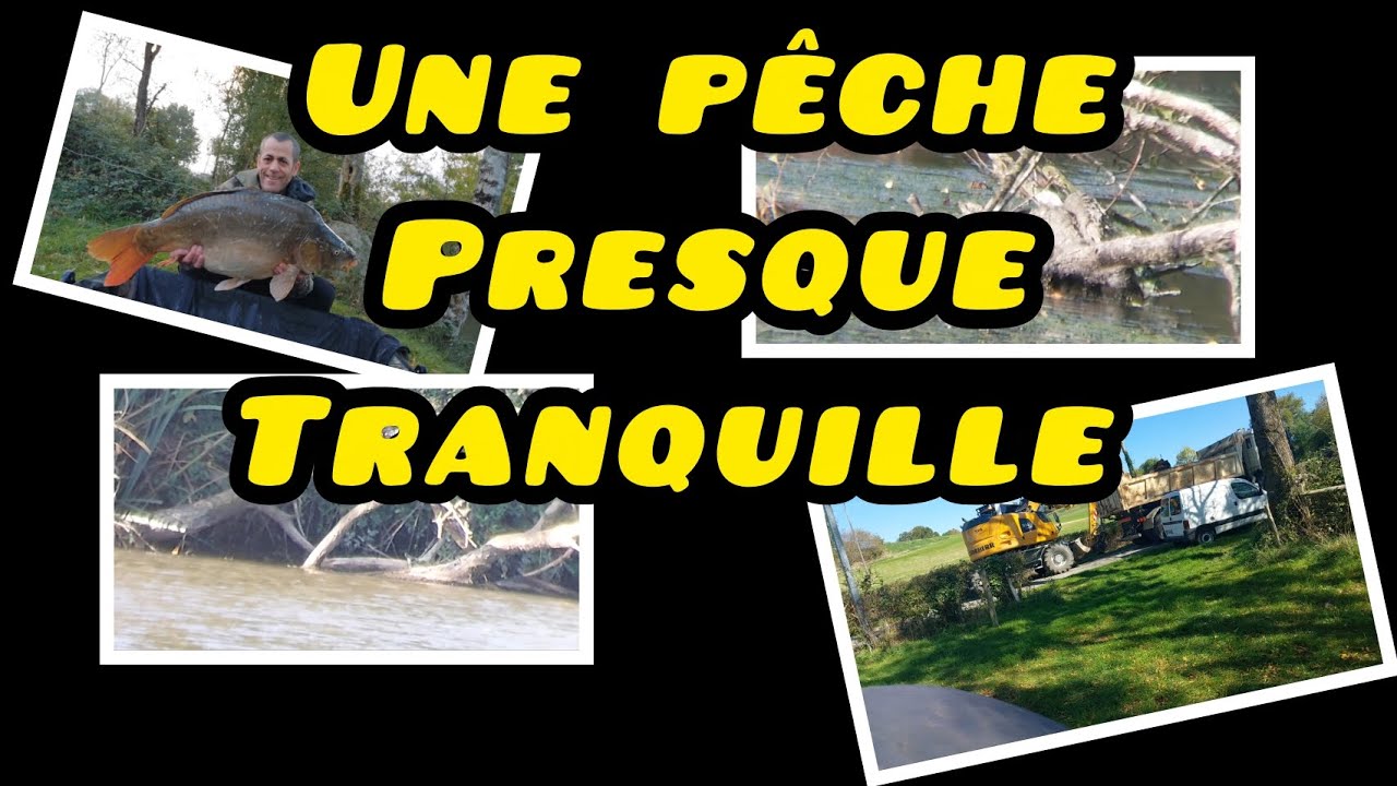 Pêche en rivière presque tranquille ( pêche de la carpes)