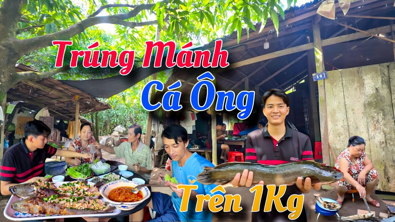 Quá Bất Ngờ Kéo Được Cá Ông Sống Lâu Năm Ở Kênh Ai Củng Hết Hồn | Tình Người Miền Tây