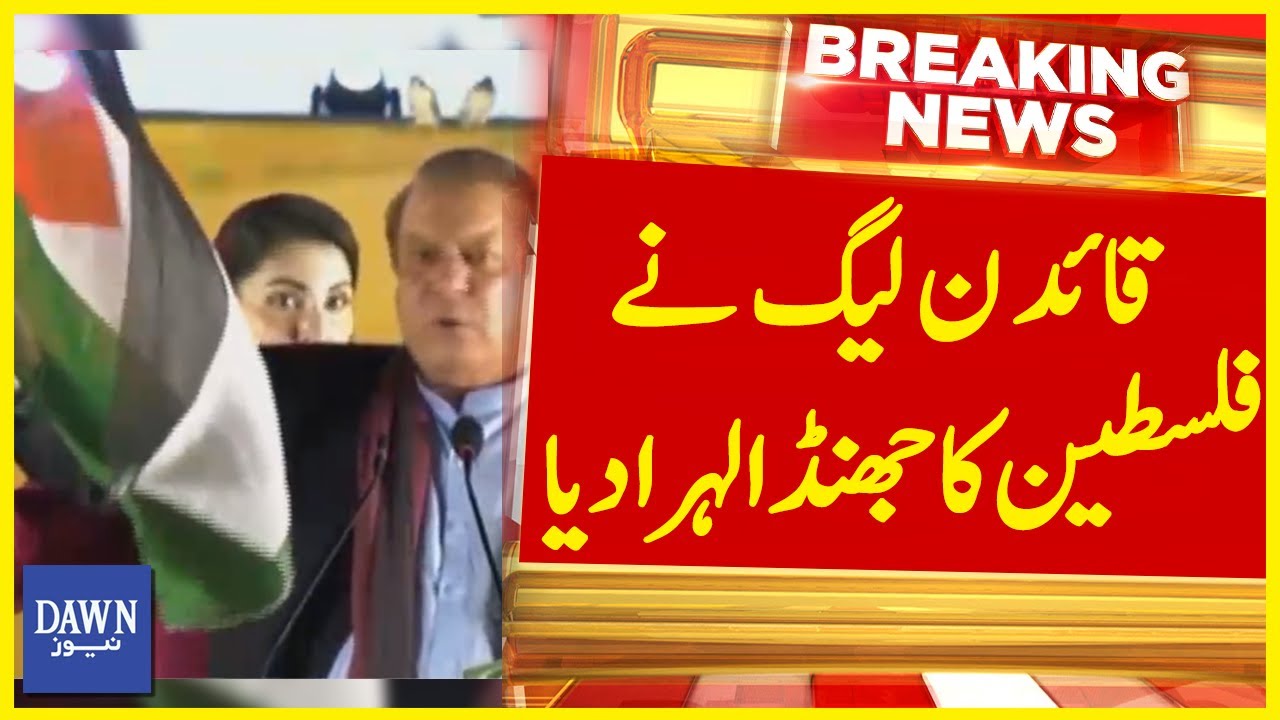 Quaid PMLN Nay Palestine Ka Jhanda Lehra Diya | Breaking News | Dawn News