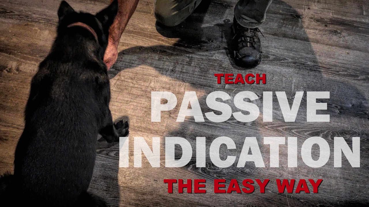 Passive Indication