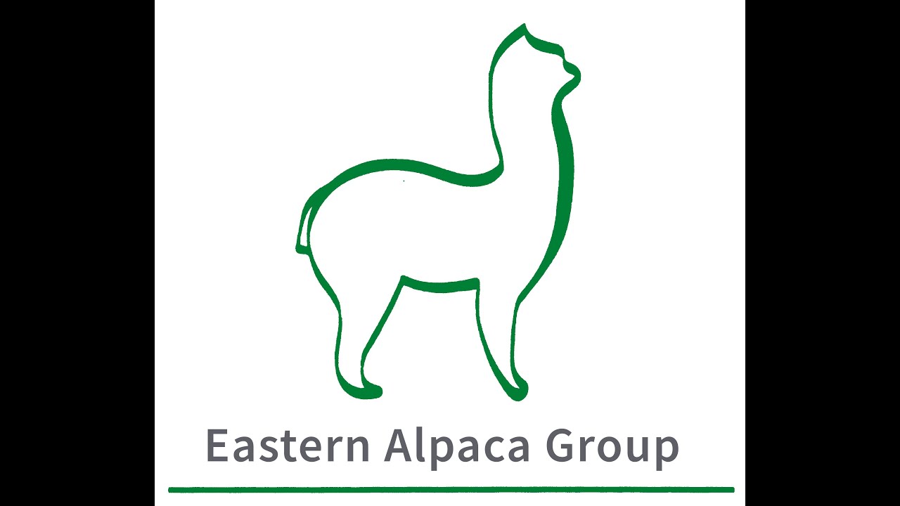 East of England Alpaca Show 2023 (Timelapse)