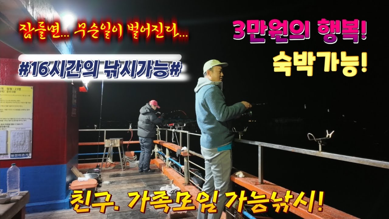 전갱이 마리수와 사이즈가 대박!! 1박에 3만원! 마산원전항 좌대낚시!   마리수도 획득!  #낚시 #좌대낚시 #마산원전항 #전갱이낚시 #루어낚시 #에루형tv #fishing