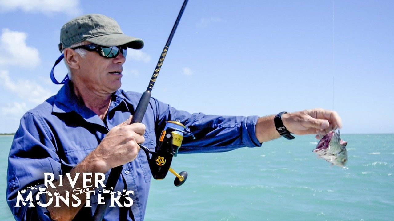 Jeremy Wade's Quest To Catch A GIANT Barracuda | River Monsters