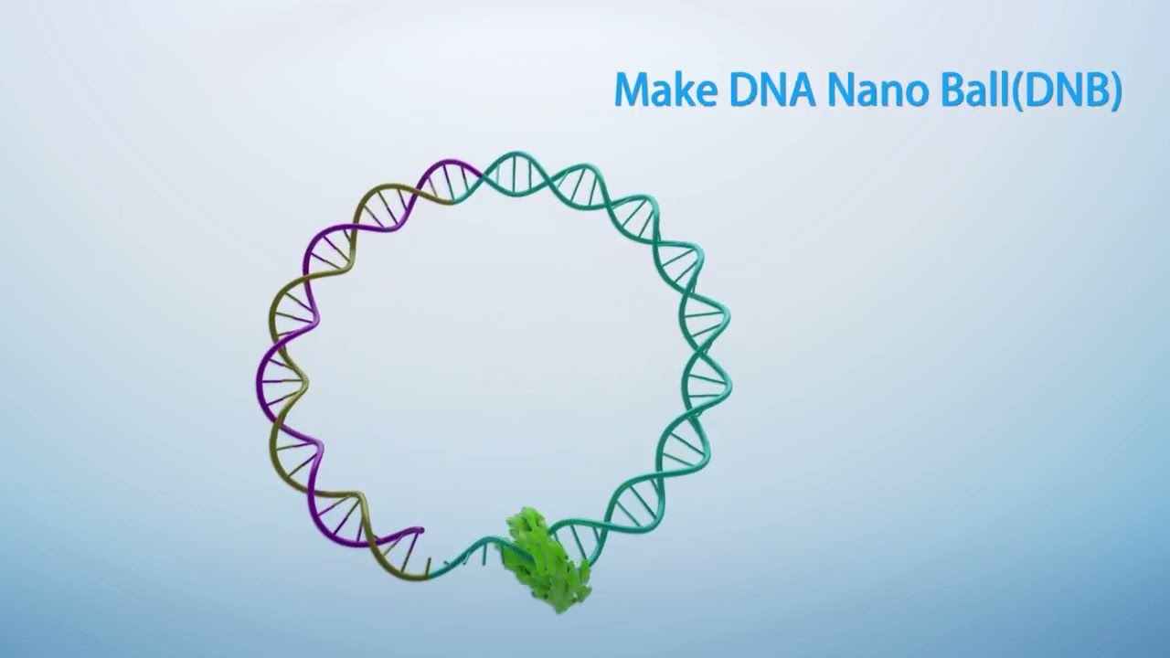 MGI's Proprietary DNBSEQ™ Technology