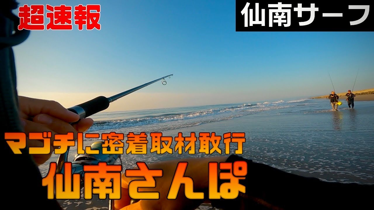 【仙南サーフ】ハイシーズン宣言!!【マゴチ】