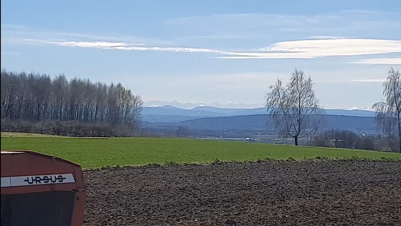 Uprawa z pięknym widok na Tarty i Babią Górę pod owies, Ursus 1201 i Tolmet siew owsa poznaniakiem